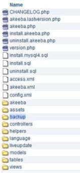 Website Design Hosting