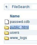 Website Design Hosting