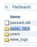 Website Design Hosting